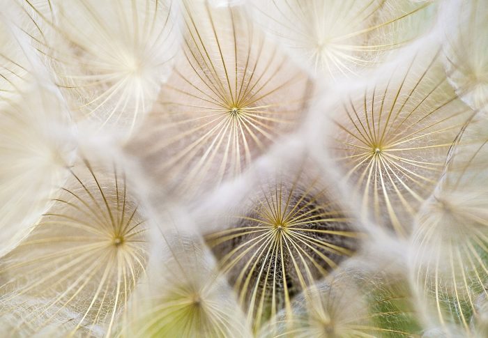 Bonheur intérieur…